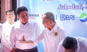 WhatsApp Image 2025-06-17 at 06.58.22 (1)