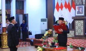 WhatsApp Image 2025-06-25 at 11.37.37 (1)