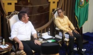 51c3ed2a-8298-47eb-85e6-d502e545347f