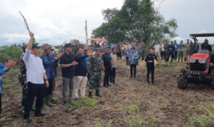 Screenshot 2025-10-03 092952